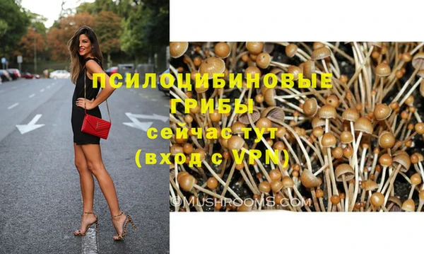 МДПВ Покровск