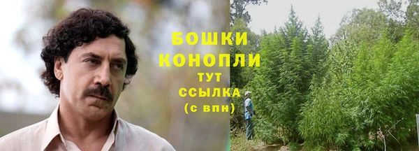 крисы Переславль-Залесский