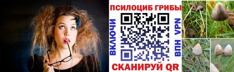 Псилоцибиновые грибы Magic Shrooms Углич